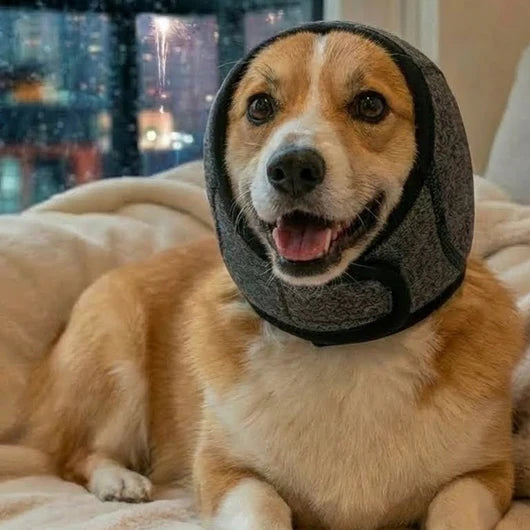 Gehörschutz Cozy™